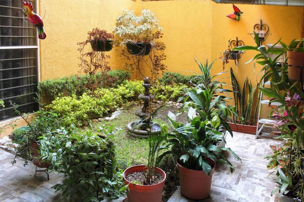 Willa Colorida Casa Azul En Texcoco Centro Wifi Cocina Texcoco de Mora Zewnętrze zdjęcie